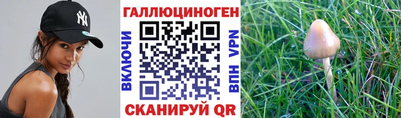 сколько стоит  Когалым  Галлюциногенные грибы MAGIC MUSHROOMS 